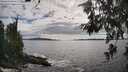./images/koeye/fitz-hugh/20260610/fitz-hugh20260610_170001M.jpg