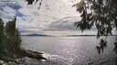 ./images/koeye/fitz-hugh/20260610/fitz-hugh20260610_171001M.jpg