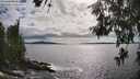 ./images/koeye/fitz-hugh/20260610/fitz-hugh20260610_172001M.jpg