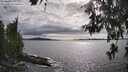./images/koeye/fitz-hugh/20260610/fitz-hugh20260610_173001M.jpg