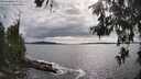 ./images/koeye/fitz-hugh/20260610/fitz-hugh20260610_173501M.jpg