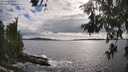 ./images/koeye/fitz-hugh/20260610/fitz-hugh20260610_174501M.jpg