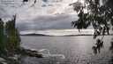 ./images/koeye/fitz-hugh/20260610/fitz-hugh20260610_181501M.jpg