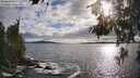 ./images/koeye/fitz-hugh/20260610/fitz-hugh20260610_184001M.jpg