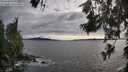 ./images/koeye/fitz-hugh/20260610/fitz-hugh20260610_191001M.jpg