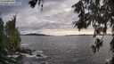 ./images/koeye/fitz-hugh/20260610/fitz-hugh20260610_192502M.jpg