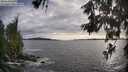 ./images/koeye/fitz-hugh/20260610/fitz-hugh20260610_193002M.jpg