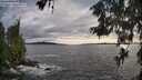 ./images/koeye/fitz-hugh/20260610/fitz-hugh20260610_193501M.jpg