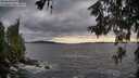 ./images/koeye/fitz-hugh/20260610/fitz-hugh20260610_194501M.jpg