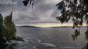 ./images/koeye/fitz-hugh/20260610/fitz-hugh20260610_200501M.jpg