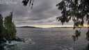./images/koeye/fitz-hugh/20260610/fitz-hugh20260610_203001M.jpg