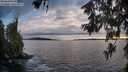 ./images/koeye/fitz-hugh/20260610/fitz-hugh20260610_205501M.jpg