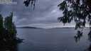 ./images/koeye/fitz-hugh/20260610/fitz-hugh20260610_221501M.jpg