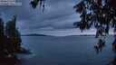 ./images/koeye/fitz-hugh/20260610/fitz-hugh20260610_222501M.jpg