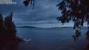 ./images/koeye/fitz-hugh/20260610/fitz-hugh20260610_223502M.jpg