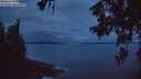 ./images/koeye/fitz-hugh/20260611/fitz-hugh20260611_042501M.jpg
