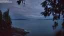 ./images/koeye/fitz-hugh/20260611/fitz-hugh20260611_043501M.jpg