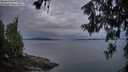 ./images/koeye/fitz-hugh/20260611/fitz-hugh20260611_045001M.jpg