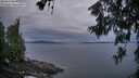 ./images/koeye/fitz-hugh/20260611/fitz-hugh20260611_050001M.jpg