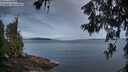 ./images/koeye/fitz-hugh/20260611/fitz-hugh20260611_052002M.jpg