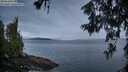 ./images/koeye/fitz-hugh/20260611/fitz-hugh20260611_052501M.jpg