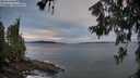 ./images/koeye/fitz-hugh/20260611/fitz-hugh20260611_055001M.jpg