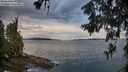 ./images/koeye/fitz-hugh/20260611/fitz-hugh20260611_061502M.jpg