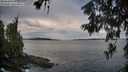 ./images/koeye/fitz-hugh/20260611/fitz-hugh20260611_062501M.jpg