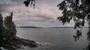 ./images/koeye/fitz-hugh/20260611/fitz-hugh20260611_063501M.jpg