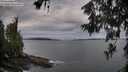 ./images/koeye/fitz-hugh/20260611/fitz-hugh20260611_064002M.jpg