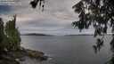 ./images/koeye/fitz-hugh/20260611/fitz-hugh20260611_064501M.jpg