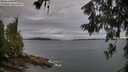 ./images/koeye/fitz-hugh/20260611/fitz-hugh20260611_070001M.jpg