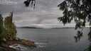 ./images/koeye/fitz-hugh/20260611/fitz-hugh20260611_071001M.jpg
