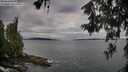 ./images/koeye/fitz-hugh/20260611/fitz-hugh20260611_073001M.jpg
