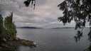 ./images/koeye/fitz-hugh/20260611/fitz-hugh20260611_073502M.jpg