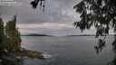 ./images/koeye/fitz-hugh/20260611/fitz-hugh20260611_075502M.jpg