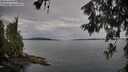 ./images/koeye/fitz-hugh/20260611/fitz-hugh20260611_081001M.jpg