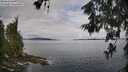 ./images/koeye/fitz-hugh/20260611/fitz-hugh20260611_083002M.jpg