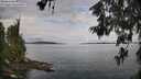 ./images/koeye/fitz-hugh/20260611/fitz-hugh20260611_083501M.jpg