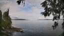 ./images/koeye/fitz-hugh/20260611/fitz-hugh20260611_084501M.jpg