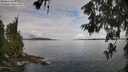 ./images/koeye/fitz-hugh/20260611/fitz-hugh20260611_085002M.jpg