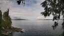 ./images/koeye/fitz-hugh/20260611/fitz-hugh20260611_085501M.jpg