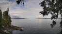 ./images/koeye/fitz-hugh/20260611/fitz-hugh20260611_090001M.jpg