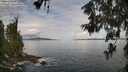 ./images/koeye/fitz-hugh/20260611/fitz-hugh20260611_090501M.jpg
