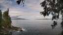 ./images/koeye/fitz-hugh/20260611/fitz-hugh20260611_091001M.jpg
