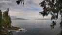 ./images/koeye/fitz-hugh/20260611/fitz-hugh20260611_092001M.jpg