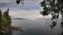 ./images/koeye/fitz-hugh/20260611/fitz-hugh20260611_093002M.jpg