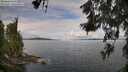 ./images/koeye/fitz-hugh/20260611/fitz-hugh20260611_093501M.jpg