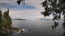 ./images/koeye/fitz-hugh/20260611/fitz-hugh20260611_094001M.jpg