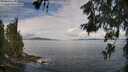 ./images/koeye/fitz-hugh/20260611/fitz-hugh20260611_095501M.jpg